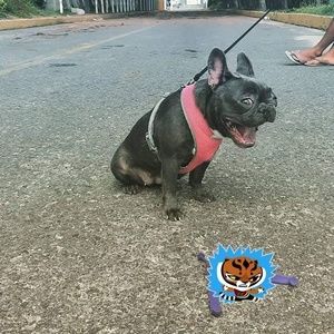 Meet your Posher, Omarion